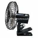 fan 1.webp